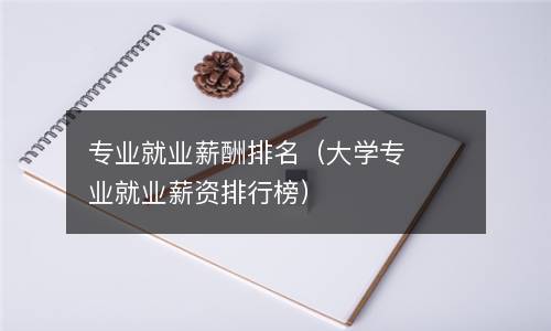  专业就业薪酬排名（大学专业就业薪资排行榜）