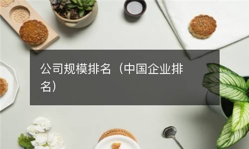  公司规模排名（中国企业排名）