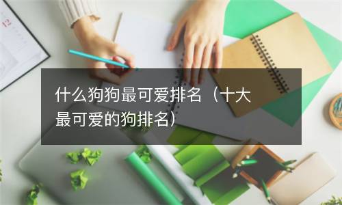  什么狗狗最可爱排名（十大最可爱的狗排名）