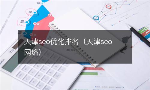  天津seo优化排名（天津seo网络）