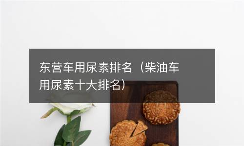  东营车用尿素排名（柴油车用尿素十大排名）