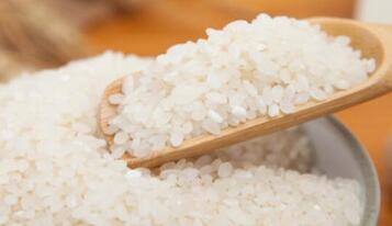 粳米是什么米(粳米是什么米多少钱一斤)