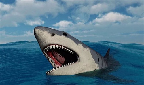巨齿鲨的祖先是什么(巨齿鲨的祖先)