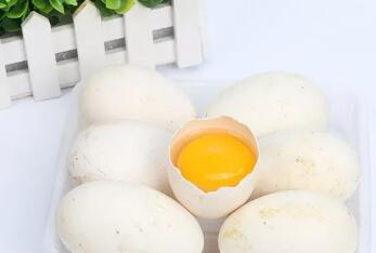 鹅蛋怎么吃去风湿-鹅蛋怎么吃营养价值高