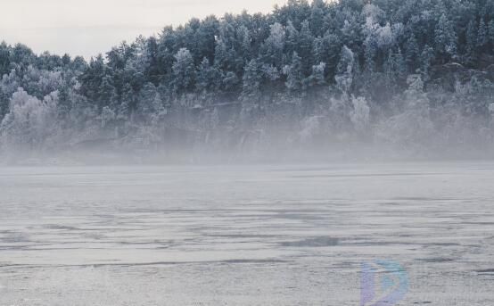 杨花榆荚无才思惟解漫天作雪飞意思