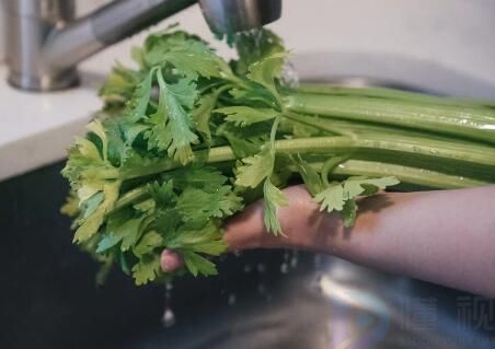 野菜的种类和图片大全荠菜