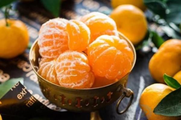 蜜橘栽培技术