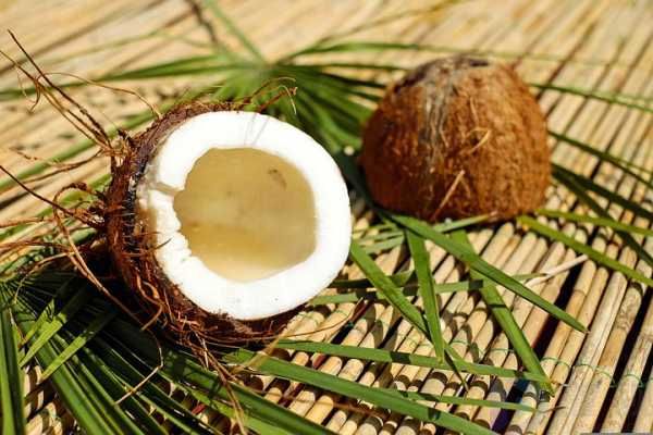 食用椰子油对身体有害吗(食用椰子油对身体有害吗视频)