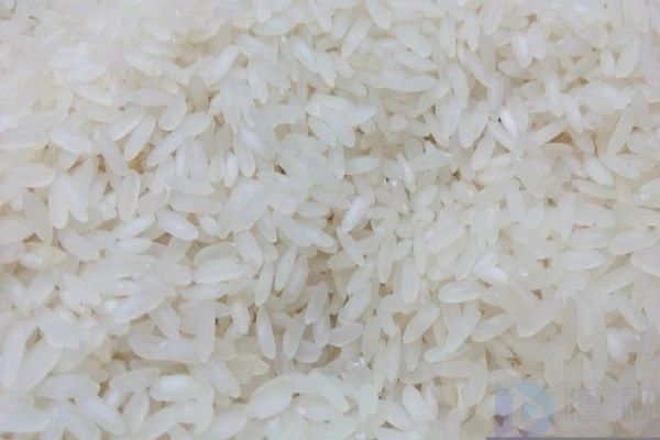 种植有机大米的有利条件(种植有机大米所需条件)