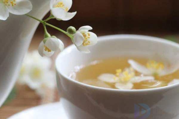 茉莉花茶可以天天喝吗(茉莉花茶能泡几次)