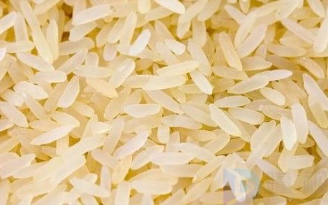 荞麦面和米饭哪个热量高(荞麦面和米饭哪个更适合减肥)