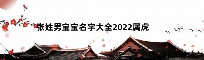 张姓男宝宝名字大全2023属虎(张姓男宝宝取名字大全集2022)