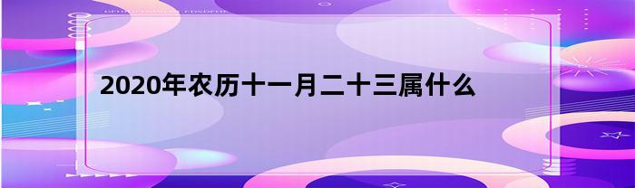 2023年农历十一月二十三属什么(二零二一年农历十一月二十三)