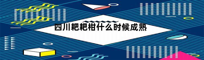 四川耙耙柑什么时候成熟(耙耙柑10月份可以吃吗)