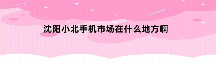 沈阳小北手机市场在什么地方啊(沈阳小北手机市场地址在哪)