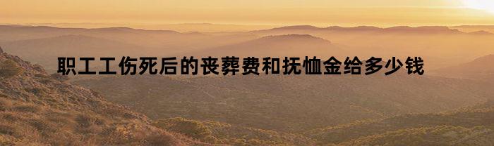 职工工伤死后的丧葬费和抚恤金给多少钱(工伤人员死亡后丧葬费补几个月工资)