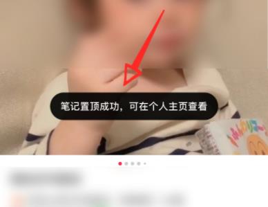 小红书怎么置顶自己的笔记详细教程