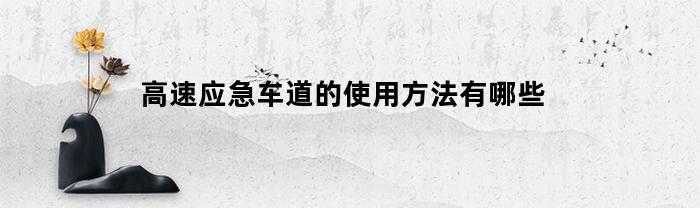 高速应急车道的使用方法有哪些(高速应急车道到底干嘛用的)