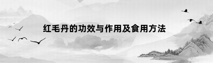 红毛丹的功效与作用及食用方法(红毛丹有哪些营养价值)