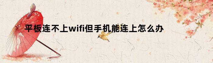 平板连不上wifi但手机能连上怎么办(平板连不上wifi但手机能连上怎么办呢)