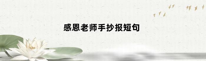 感恩老师手抄报短句(感恩老师手抄报短句图片)