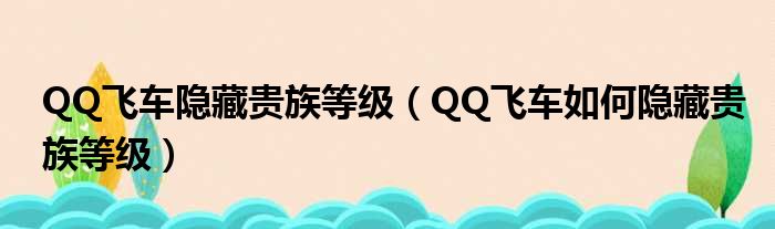 qq飞车隐藏贵族等级好友为什么能看见