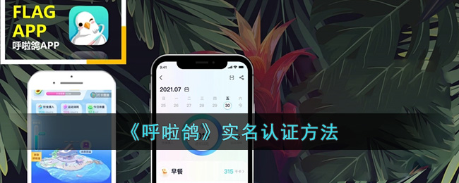 《呼啦鸽》实名认证方法