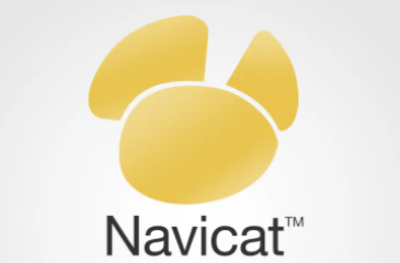 navicat怎么发音