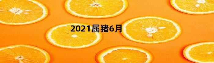 2023属猪6月(属猪六月份运势2021财运)