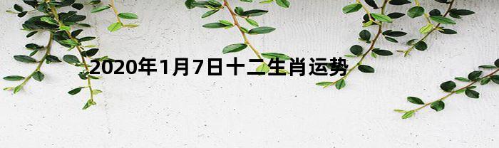 2023年1月7日十二生肖运势(2021年1月7日十二生肖运程)