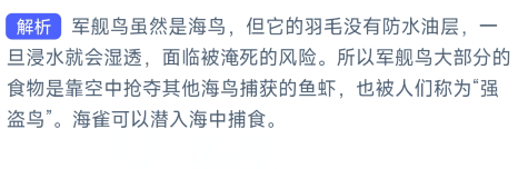 以下哪种海鸟的羽毛不能沾水主要靠抢夺食物为生