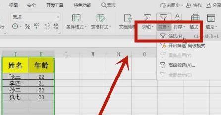 excel筛选出自己想要的数据方法